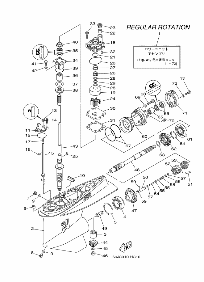 Lower Casing & Drive