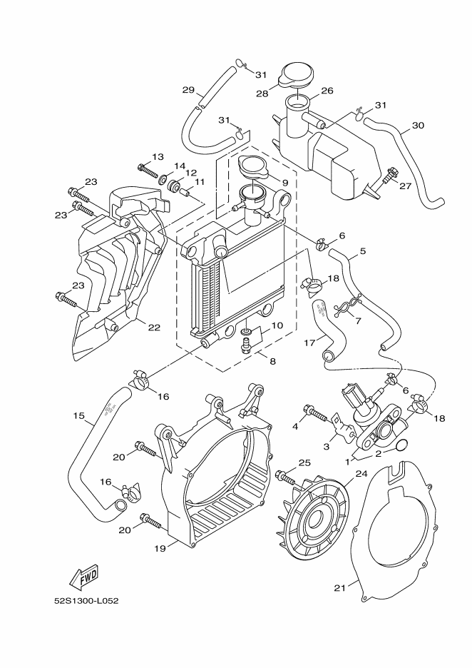 Radiator Hose
