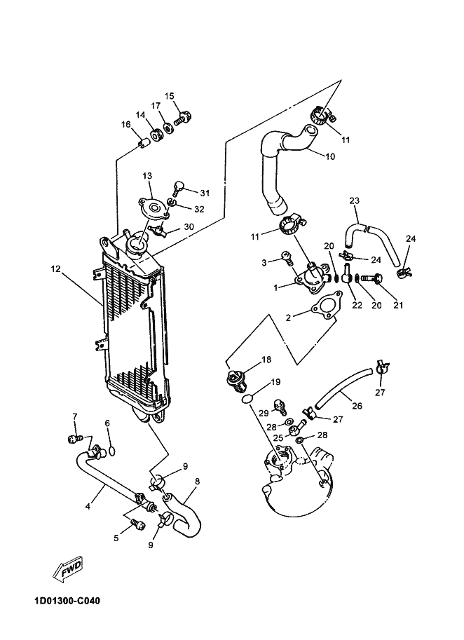 Radiator Hose