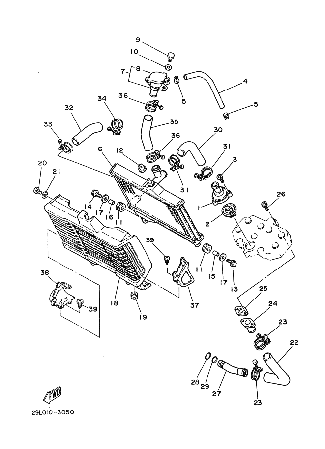 Radiator Hose