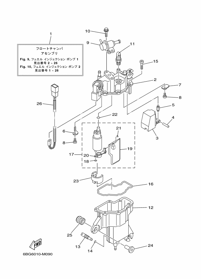 Fuel Injection Pump