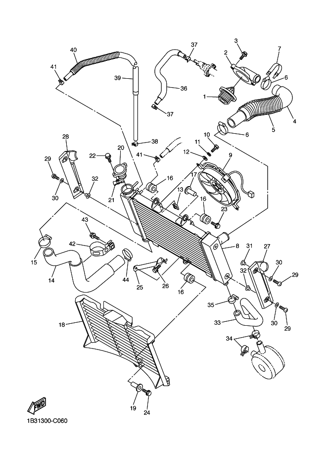 Radiator Hose