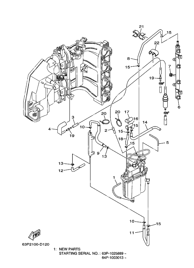 Fuel Injection Pump