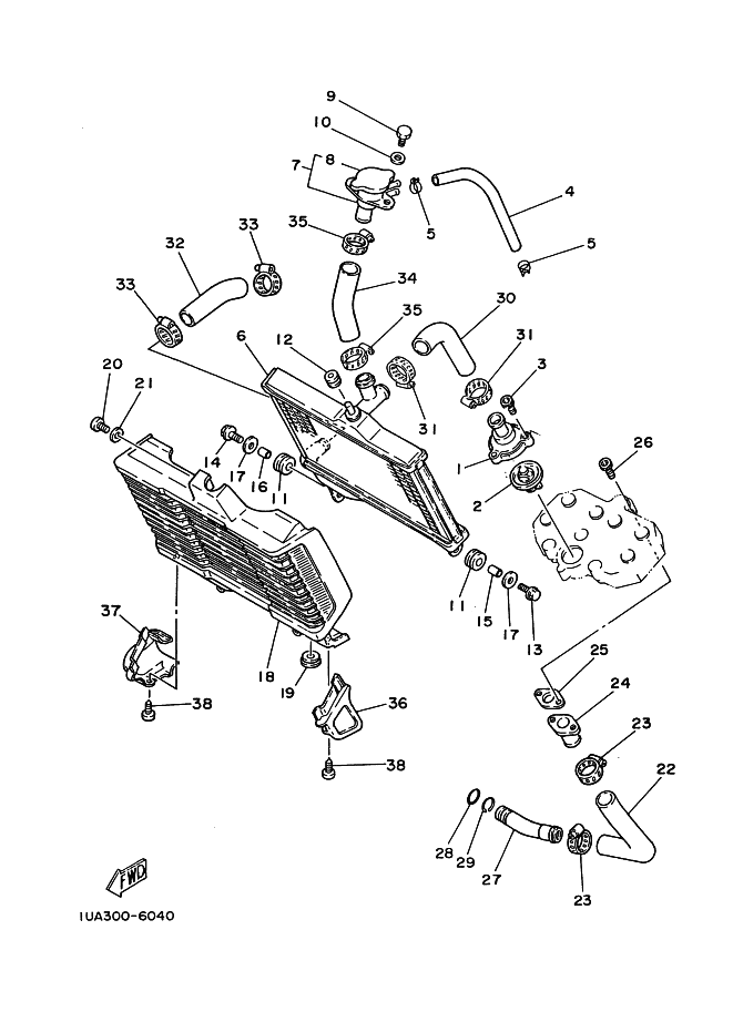 Radiator Hose