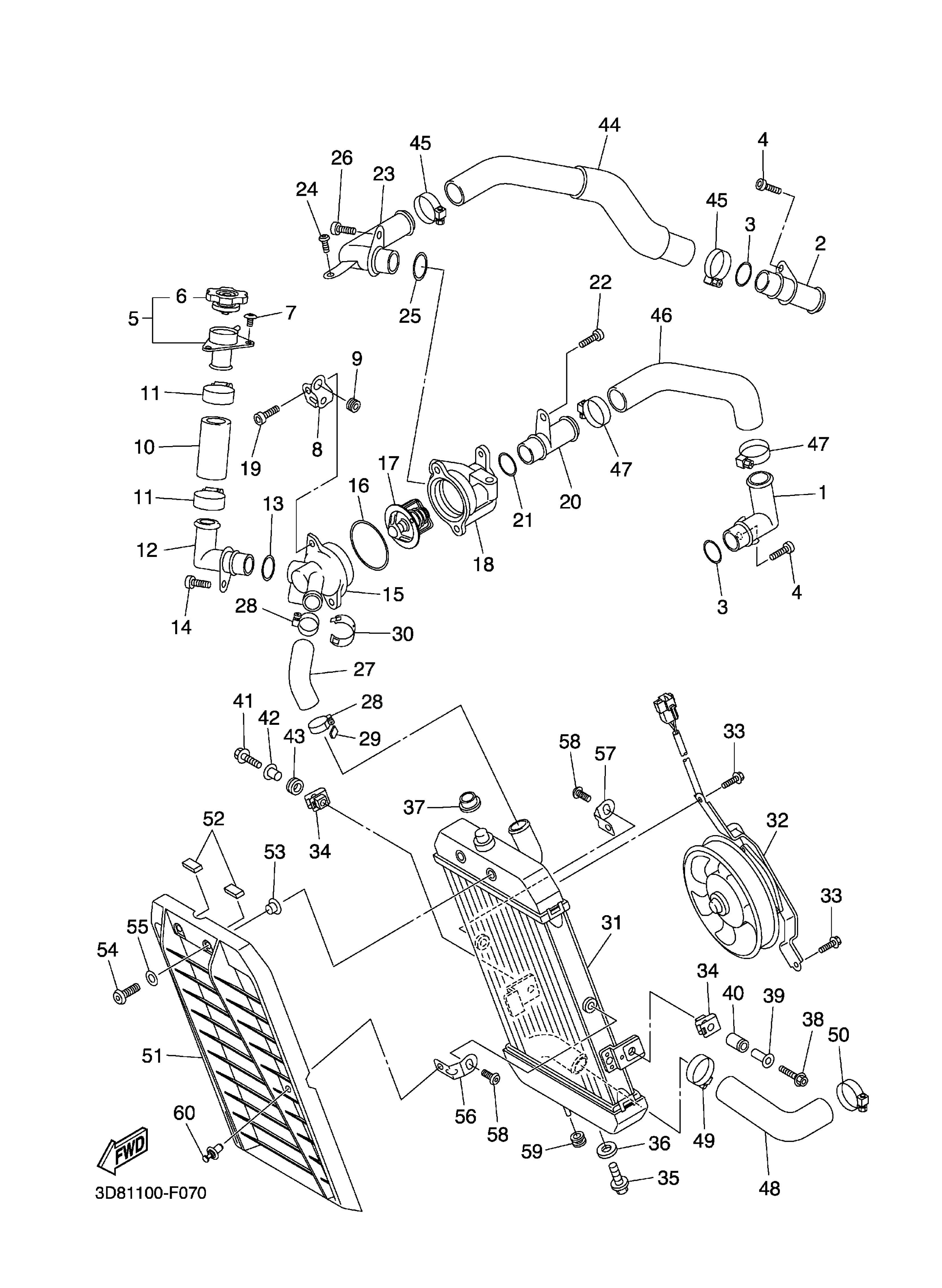 Radiator Hose