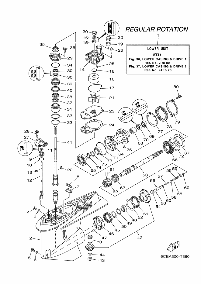 Lower Casing & Drive