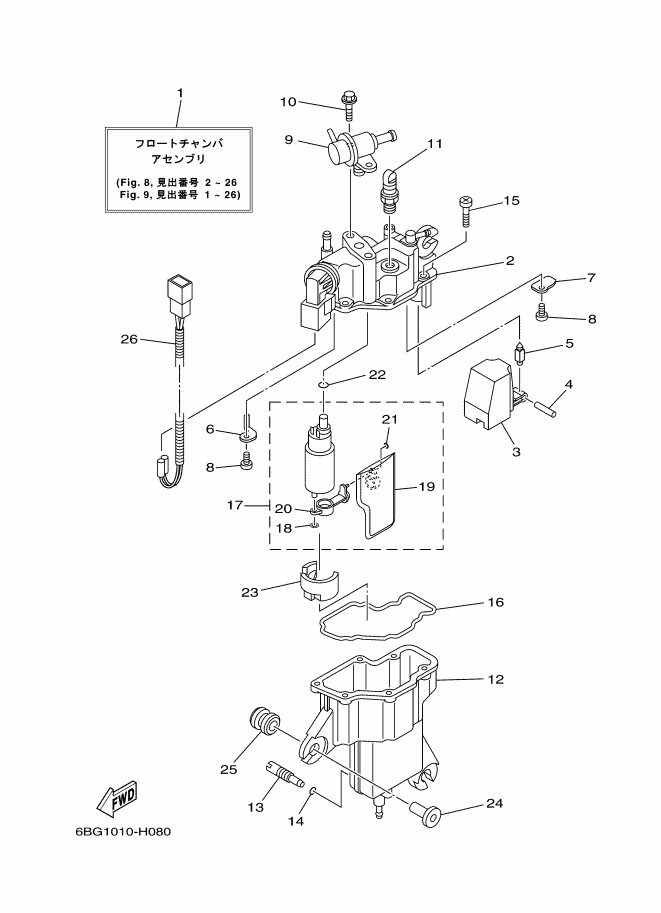 Fuel Injection Pump